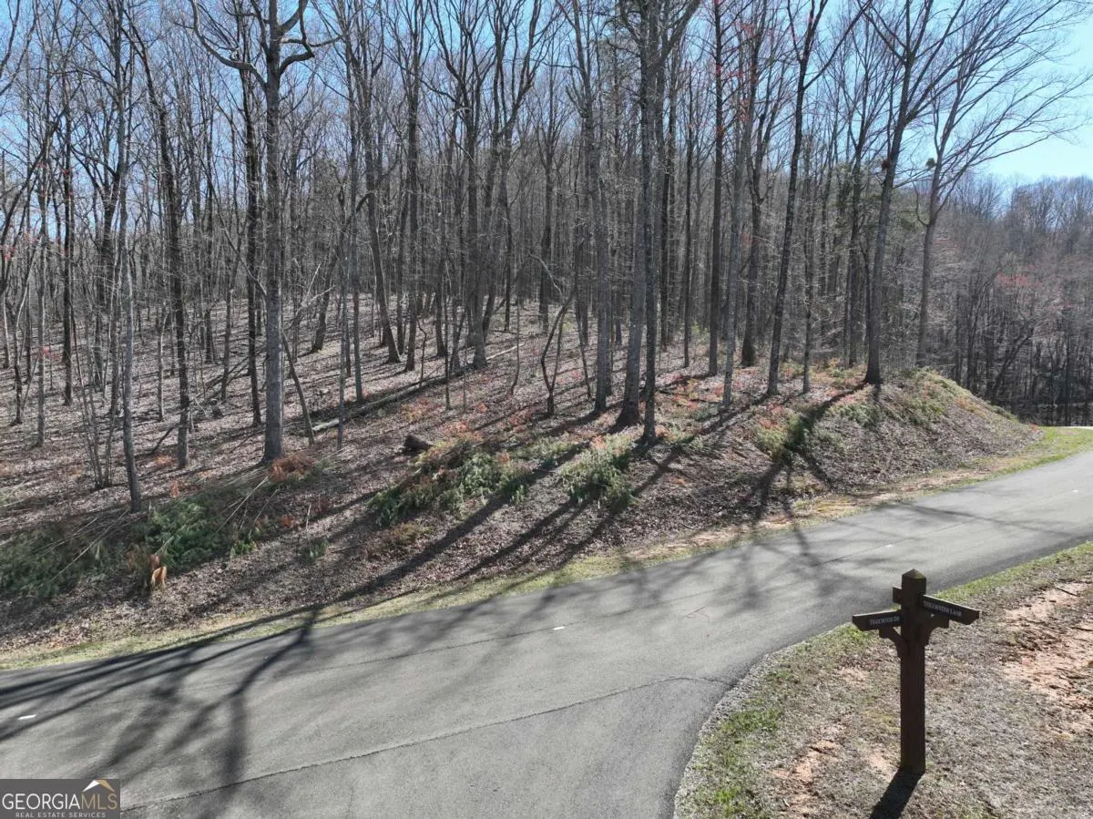 180 Trailwood Drive