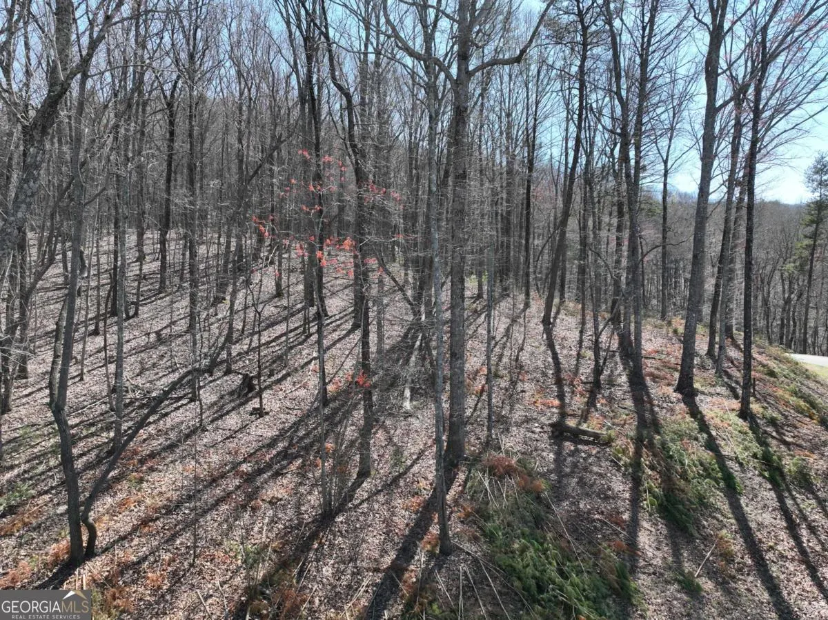 180 Trailwood Drive