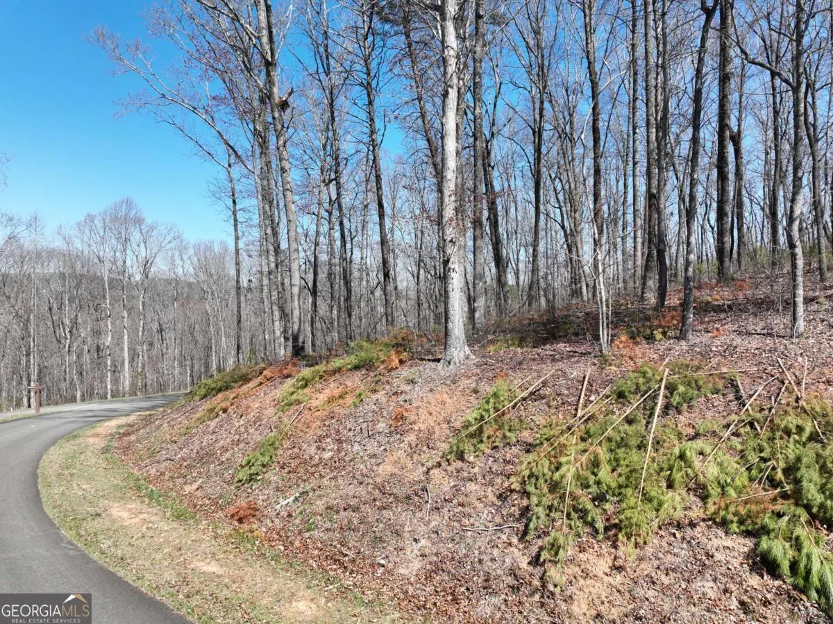 180 Trailwood Drive