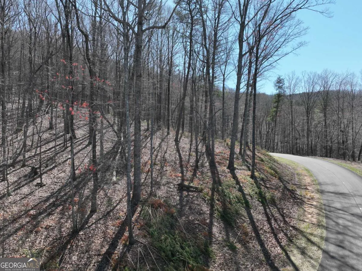 180 Trailwood Drive