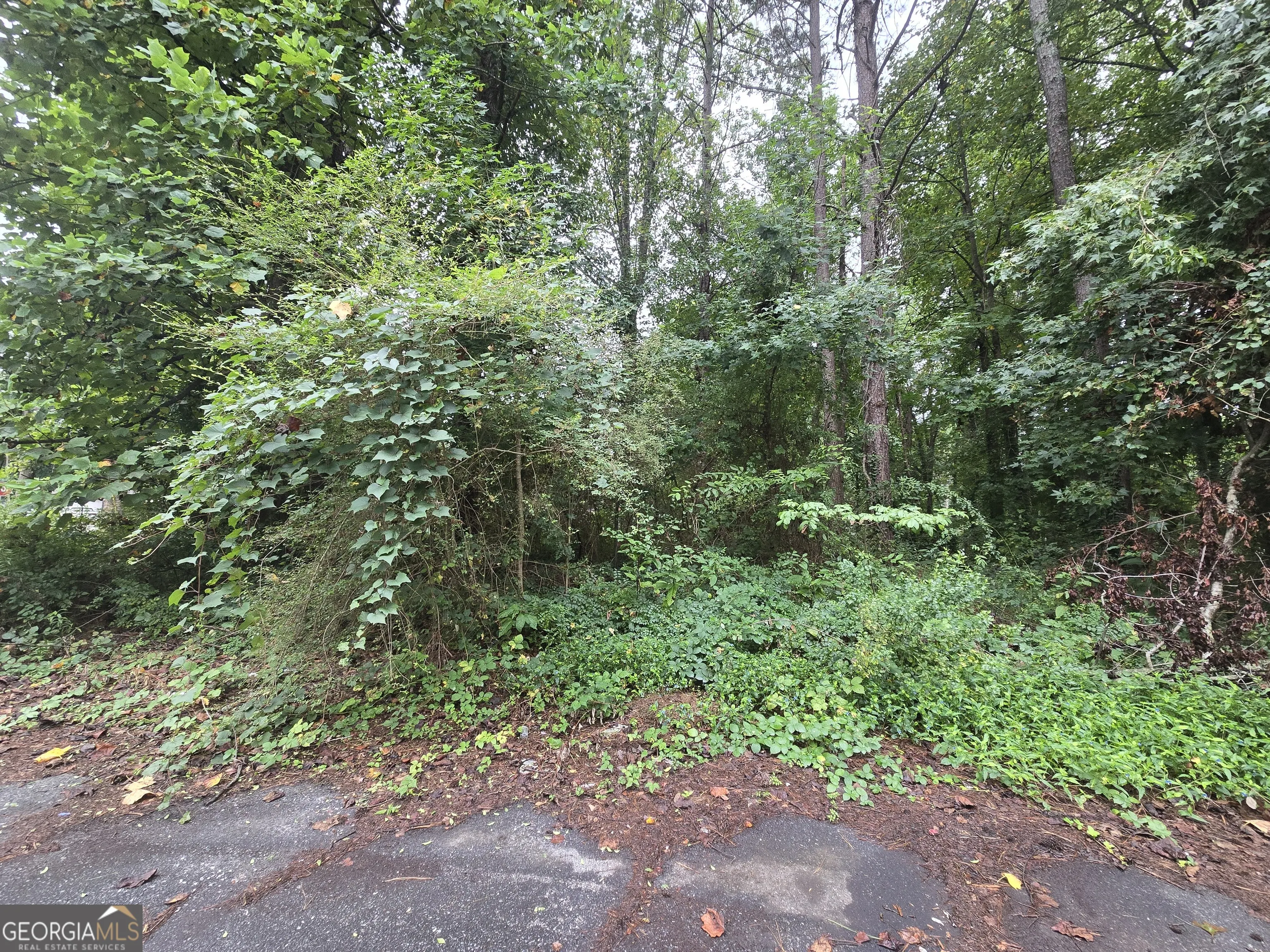 8043 Sparrow Court