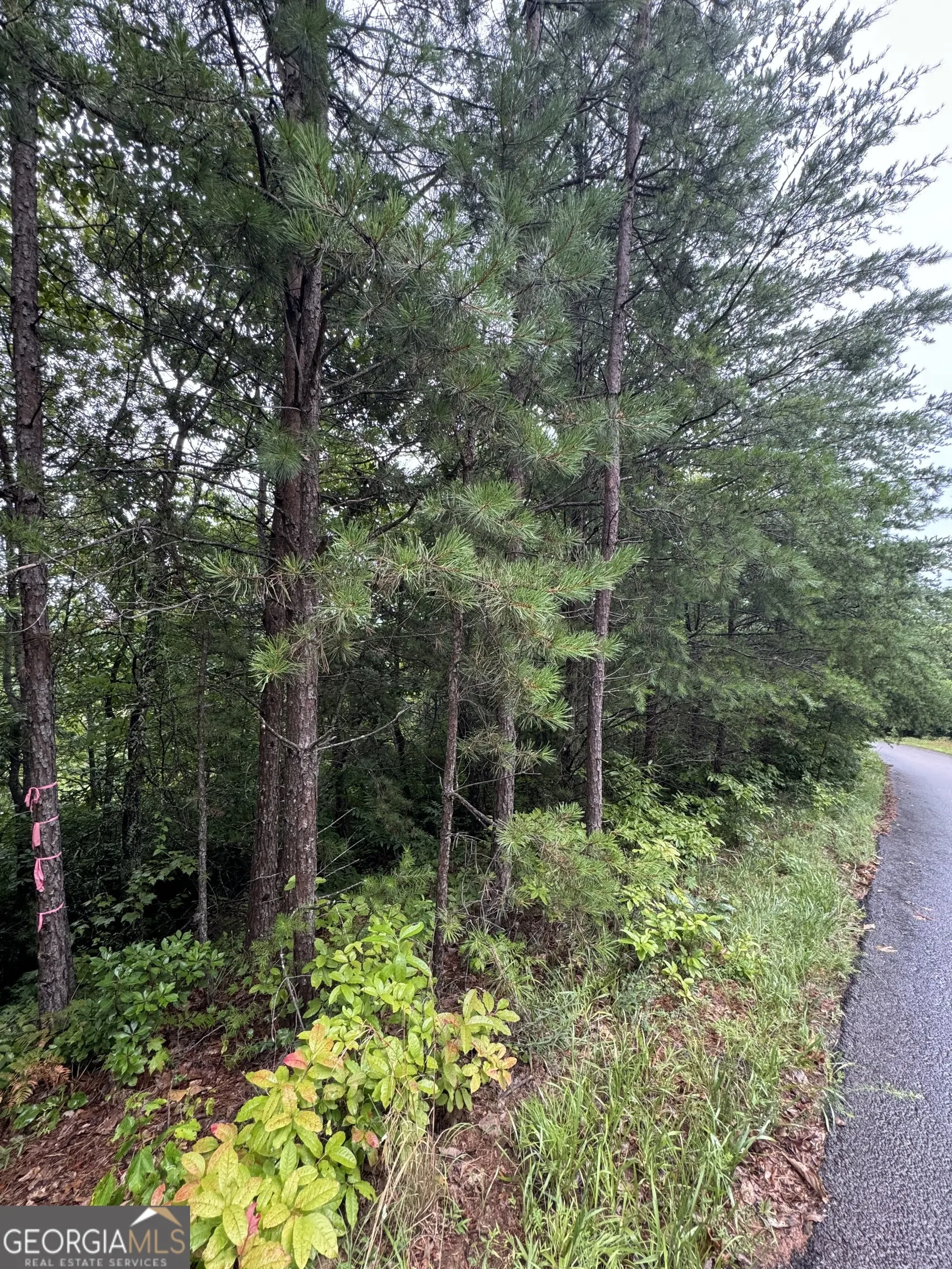 LOT 37 Eagle Talon Trail