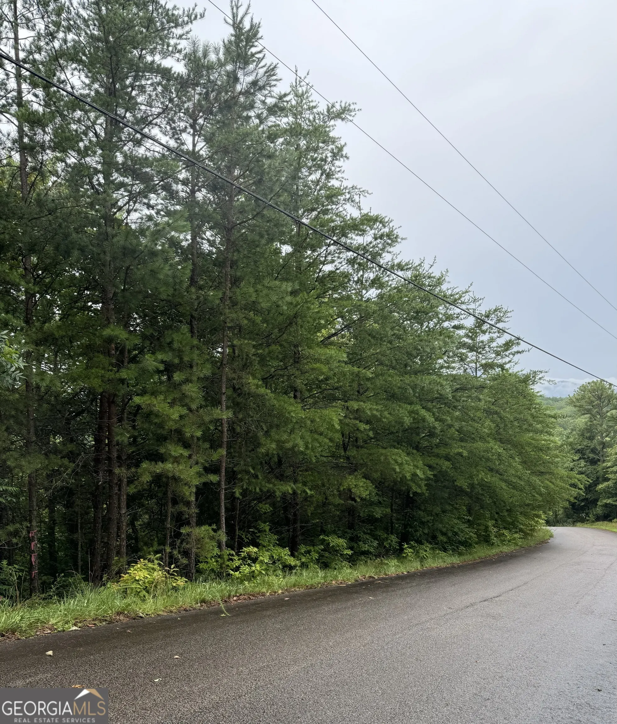 LOT 37 Eagle Talon Trail