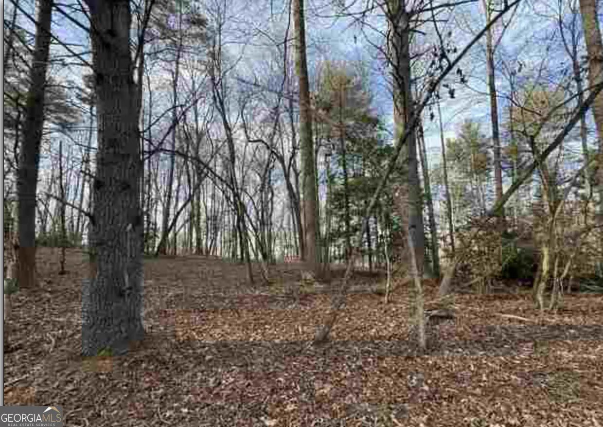 0 Dean Mountain Road