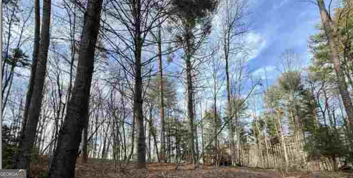 0 Dean Mountain Road