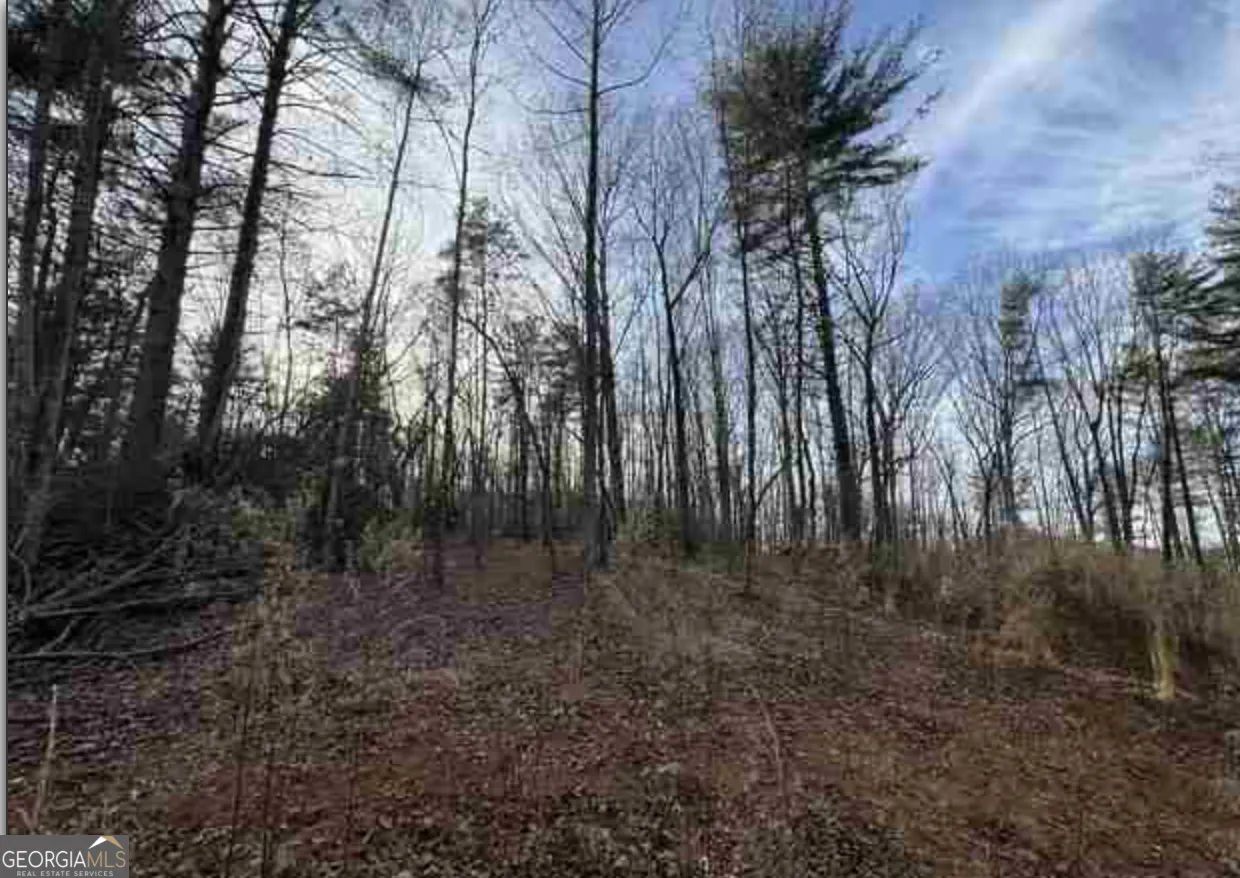 0 Dean Mountain Road