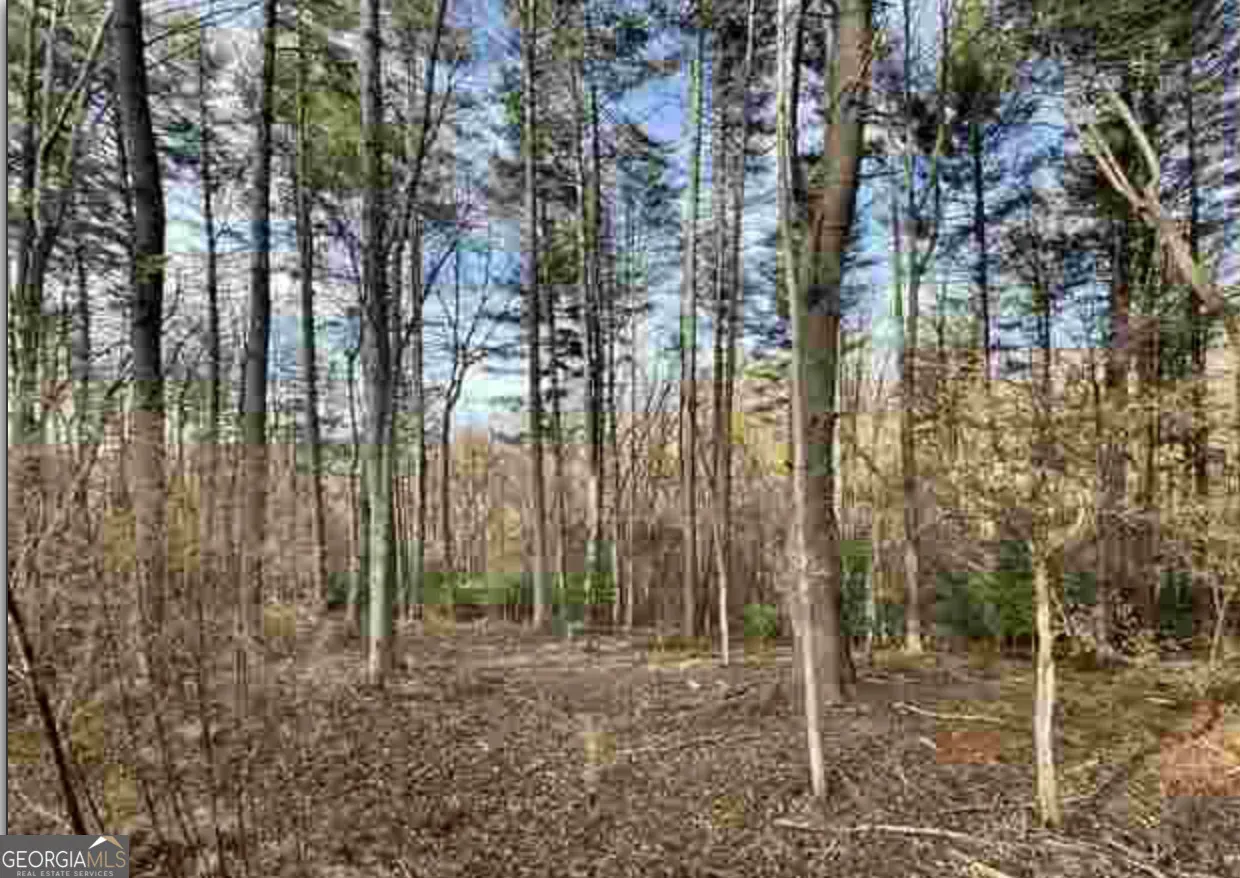 0 Dean Mountain Road