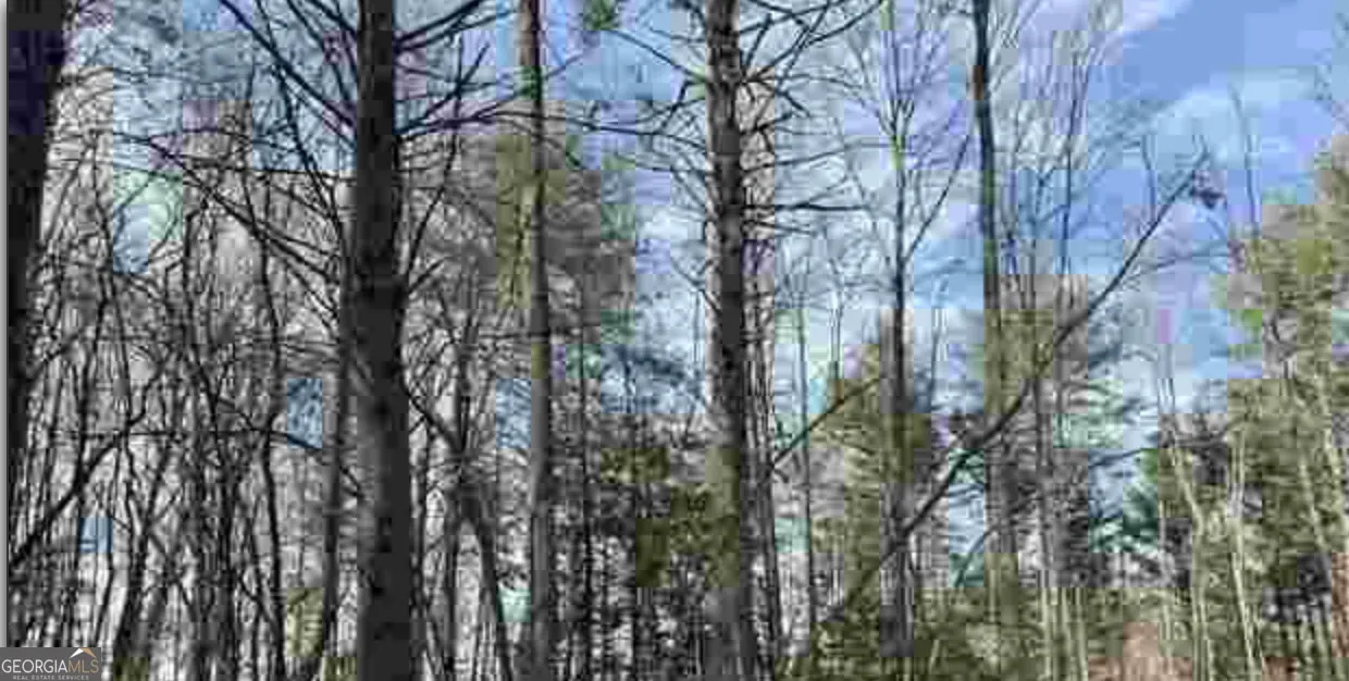 0 Dean Mountain Road