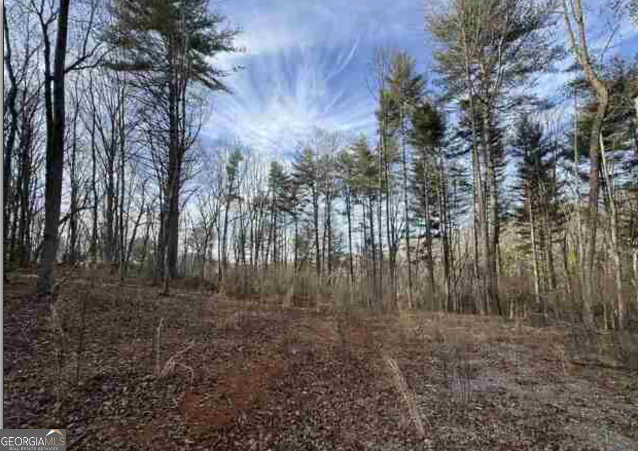0 Dean Mountain Road