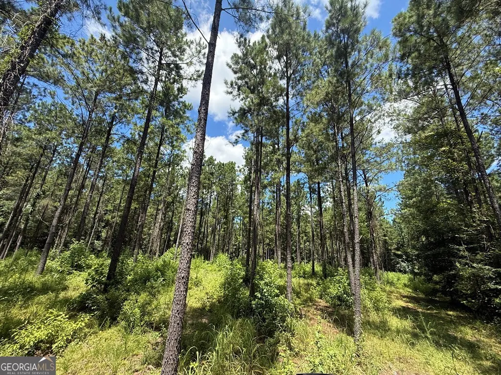 0 Mount Airy Road