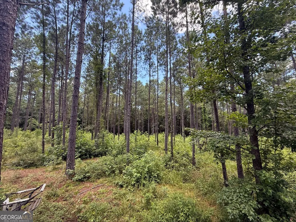 0 Mount Airy Road