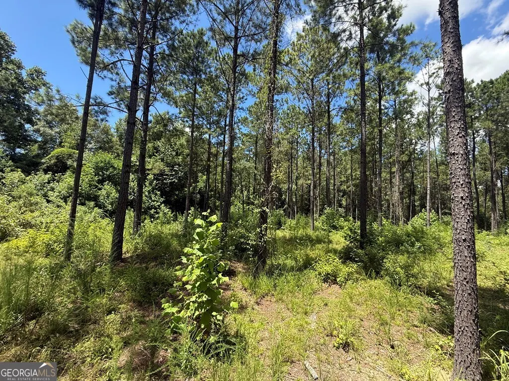 0 Mount Airy Road
