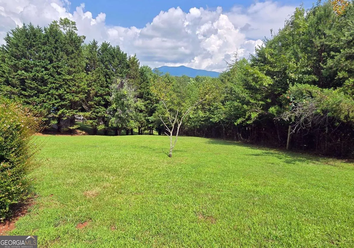557 Hidden Pines Court