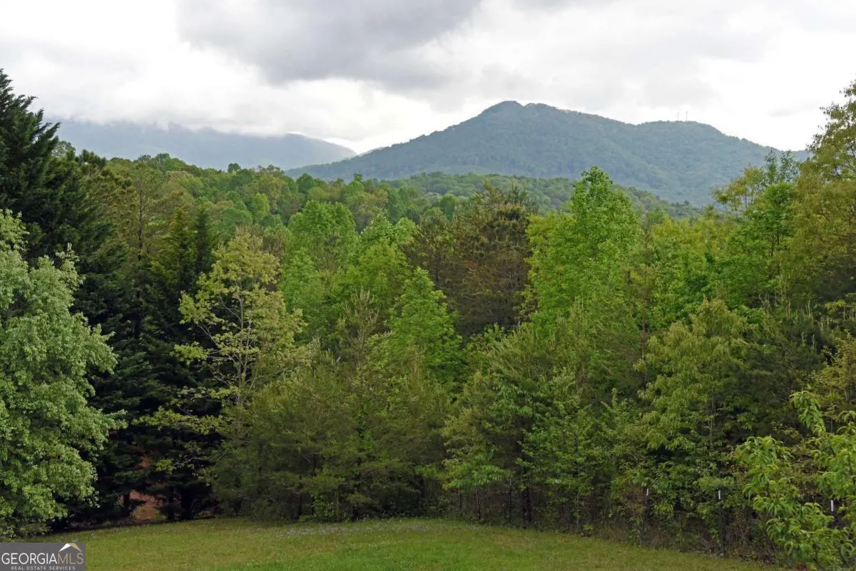 557 Hidden Pines Court