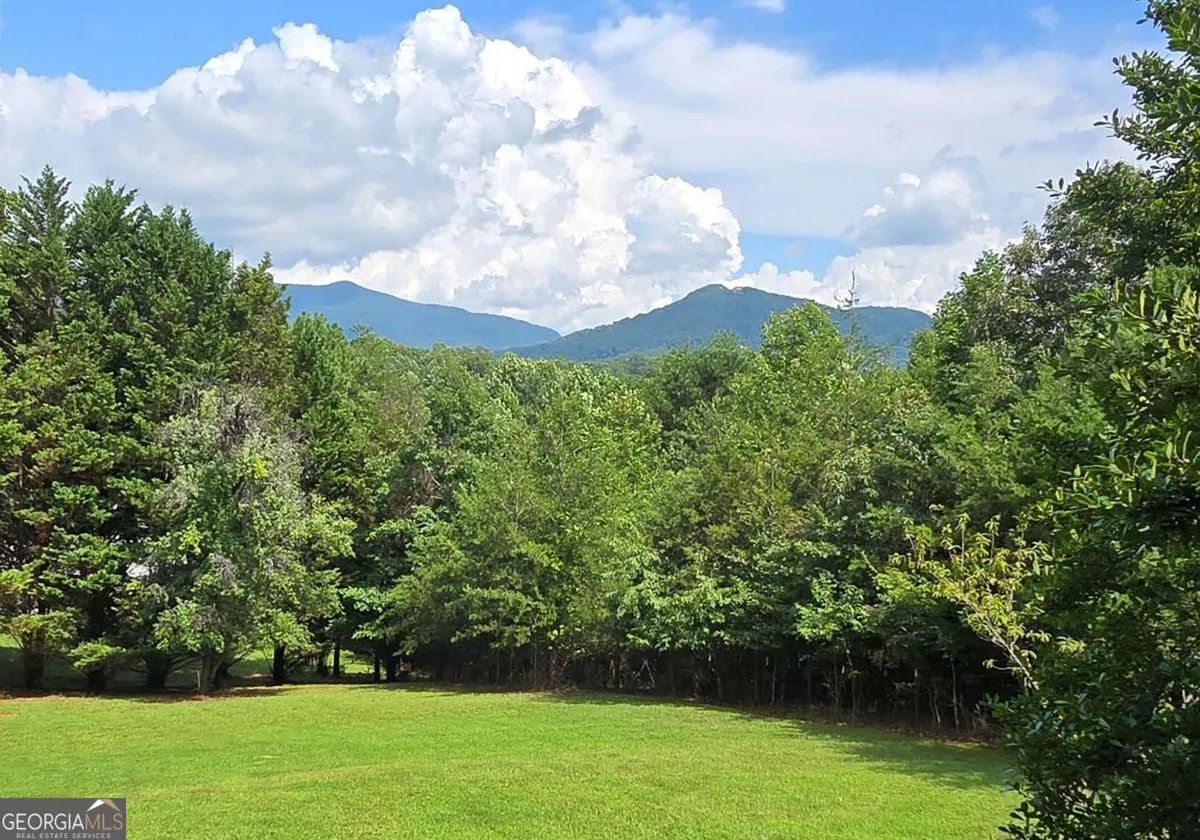 557 Hidden Pines Court