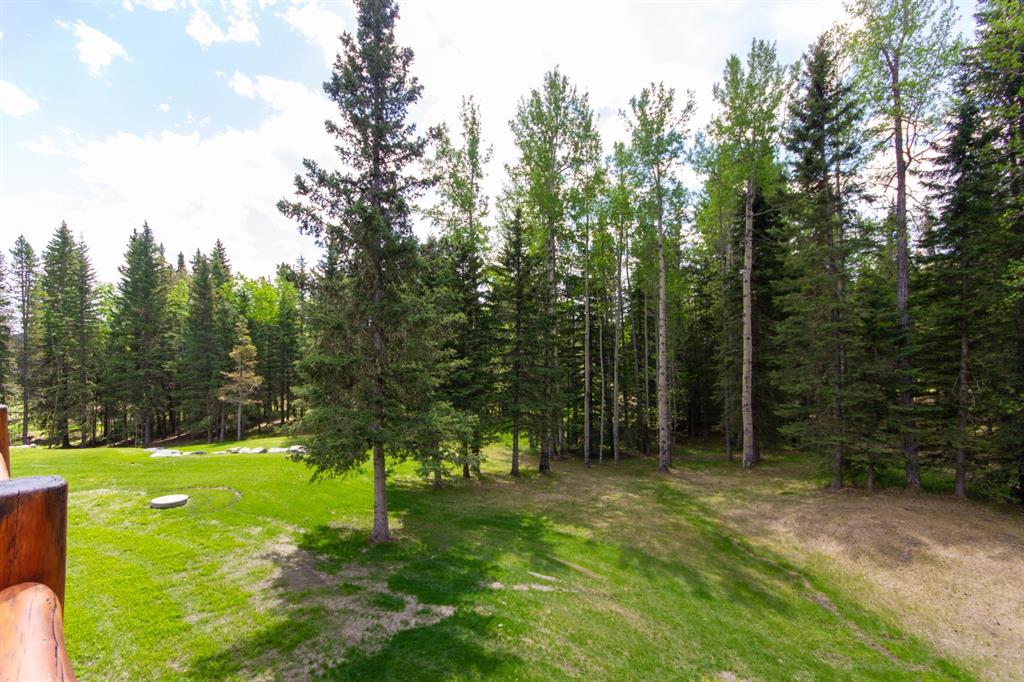 Listing A1114176 - Large Photo # 43