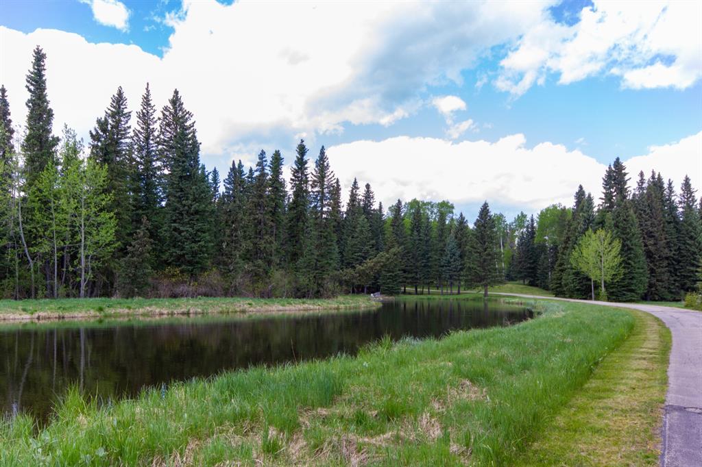 Listing A1114176 - Large Photo # 1