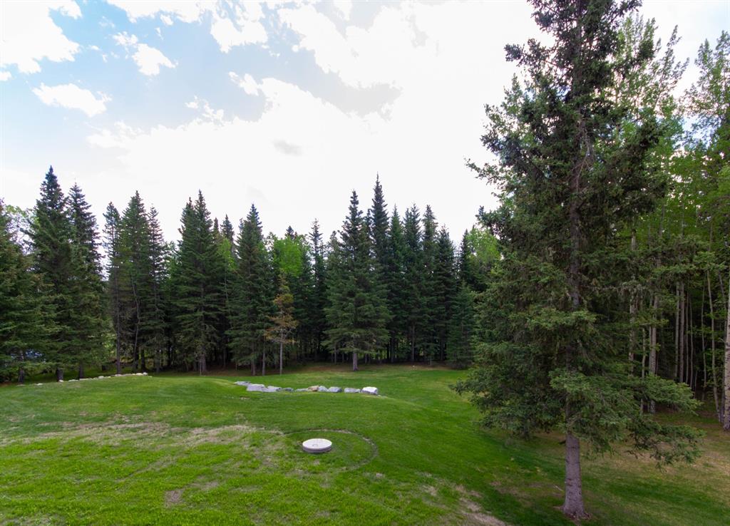 Listing A1114176 - Large Photo # 41