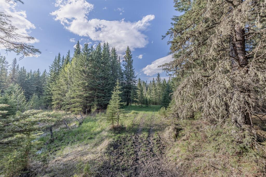 Listing A1116621 - Large Photo # 14