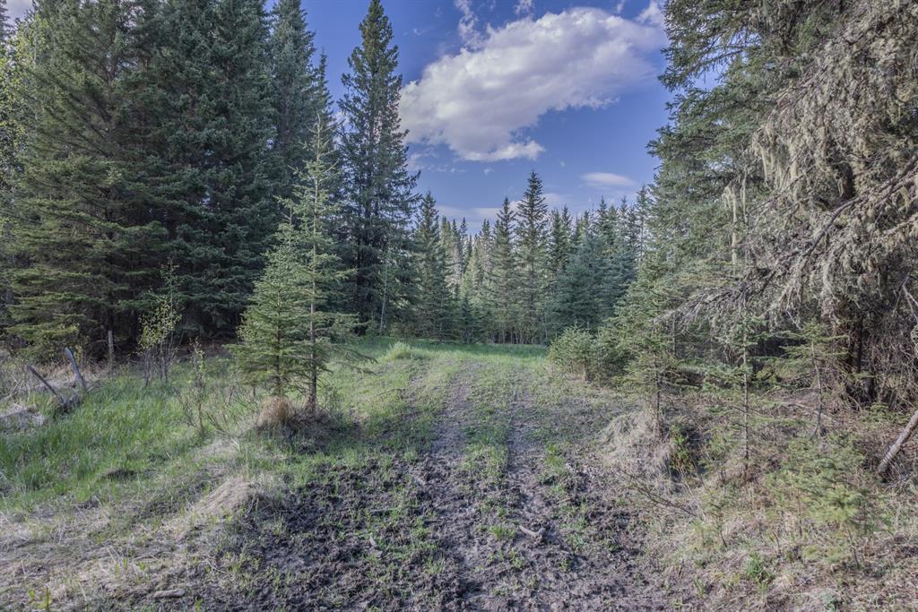 Listing A1116621 - Large Photo # 15