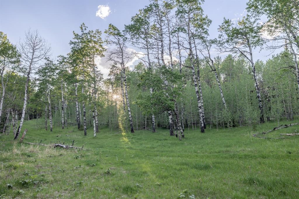 Listing A1116621 - Large Photo # 22