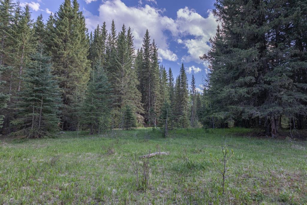 Listing A1116621 - Large Photo # 13