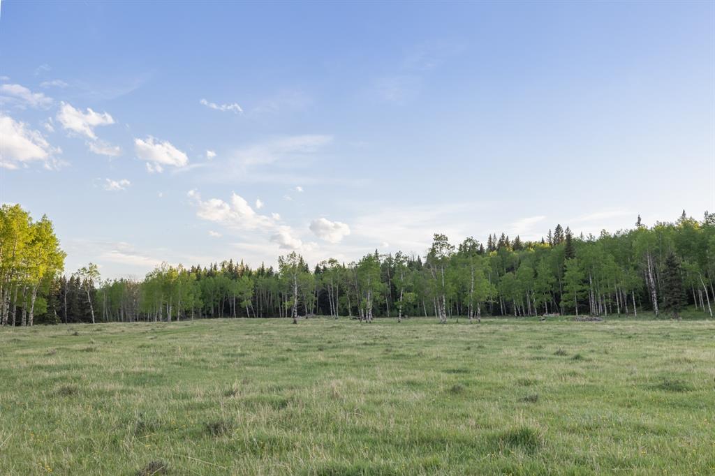Listing A1116621 - Large Photo # 29
