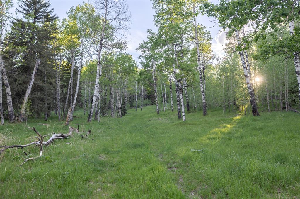 Listing A1116621 - Large Photo # 23