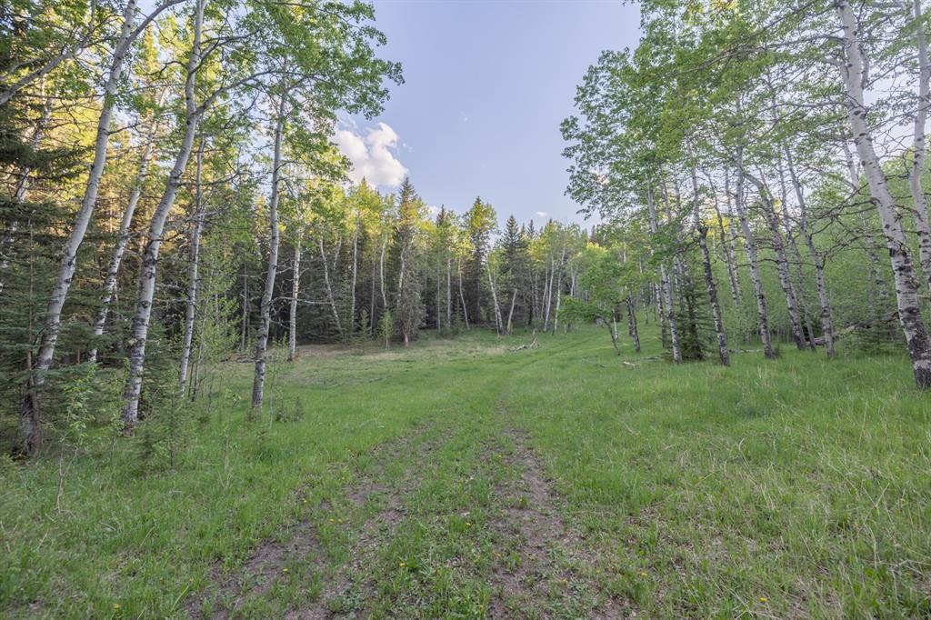 Listing A1116621 - Large Photo # 24