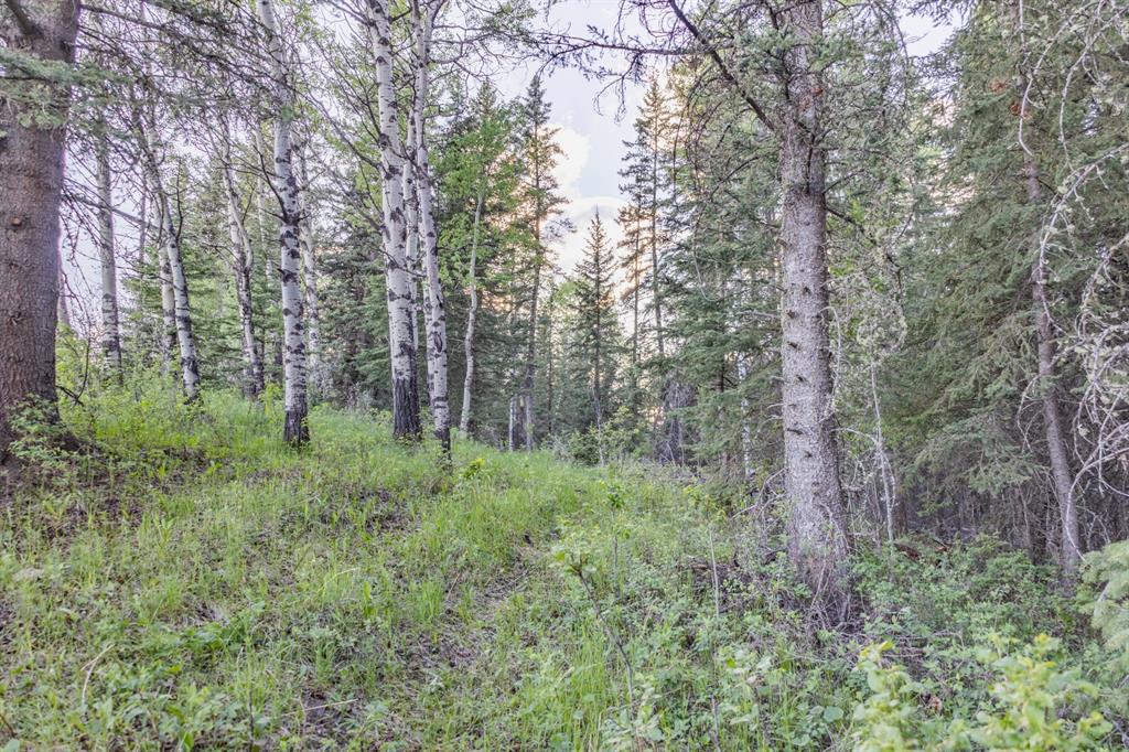 Listing A1116621 - Large Photo # 21
