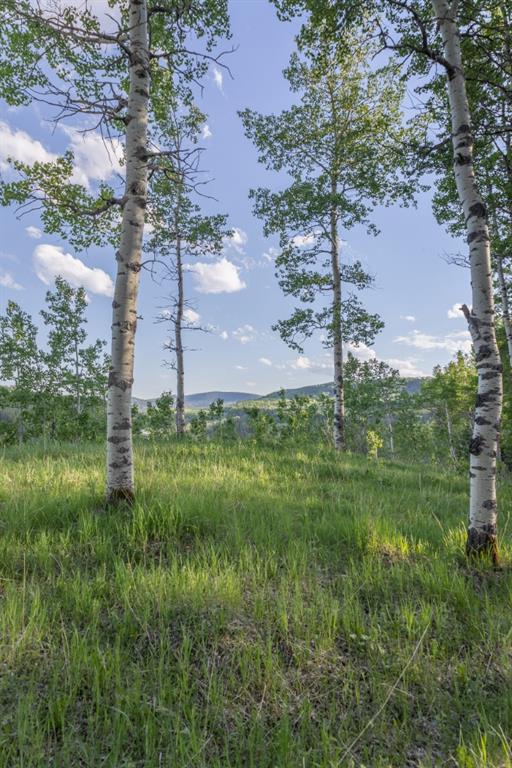 Listing A1116621 - Large Photo # 19