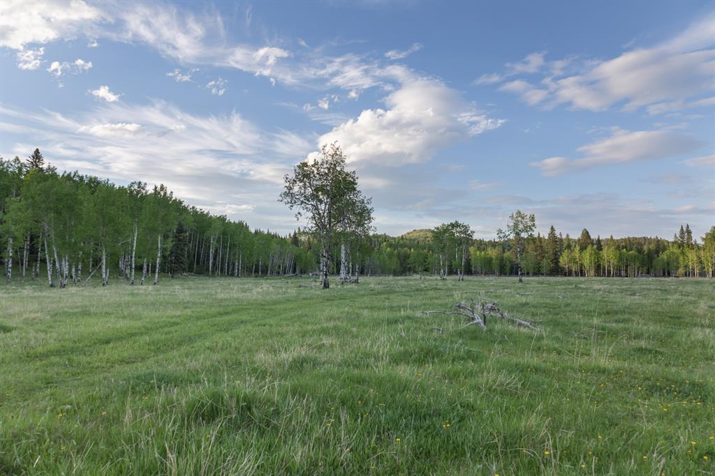 Listing A1116621 - Large Photo # 28