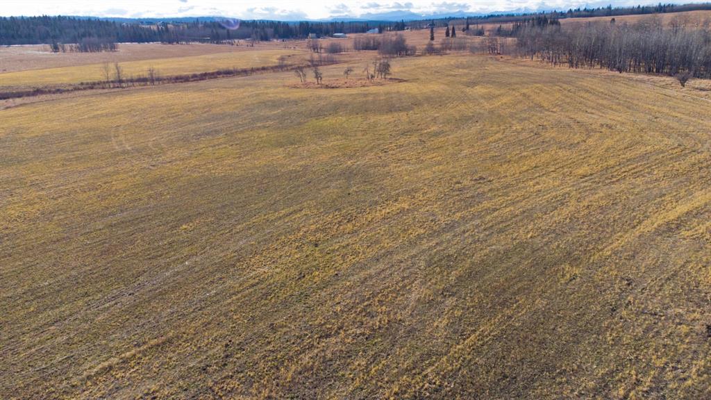Listing A1159354 - Large Photo # 12