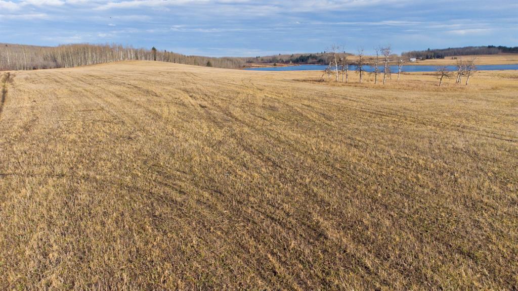 Listing A1159354 - Large Photo # 18