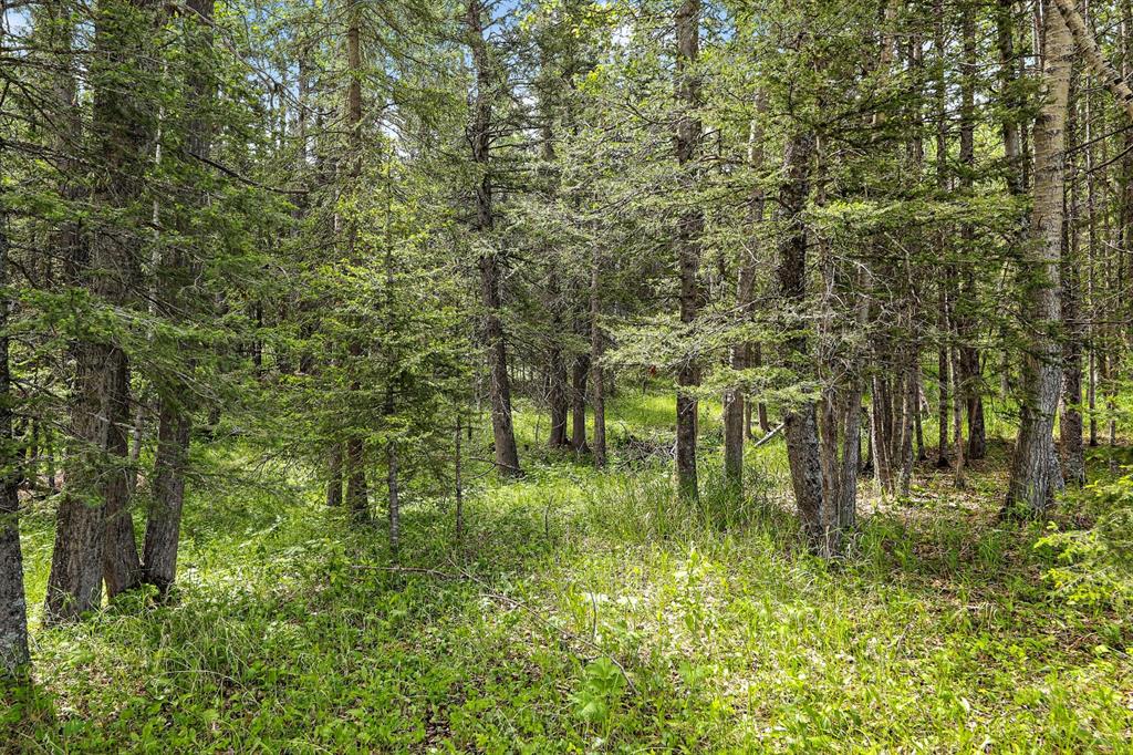 Listing A1257087 - Large Photo # 9