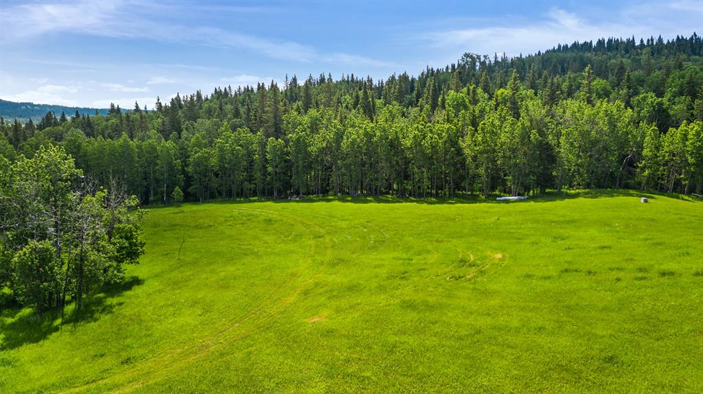 Listing A1257087 - Large Photo # 18