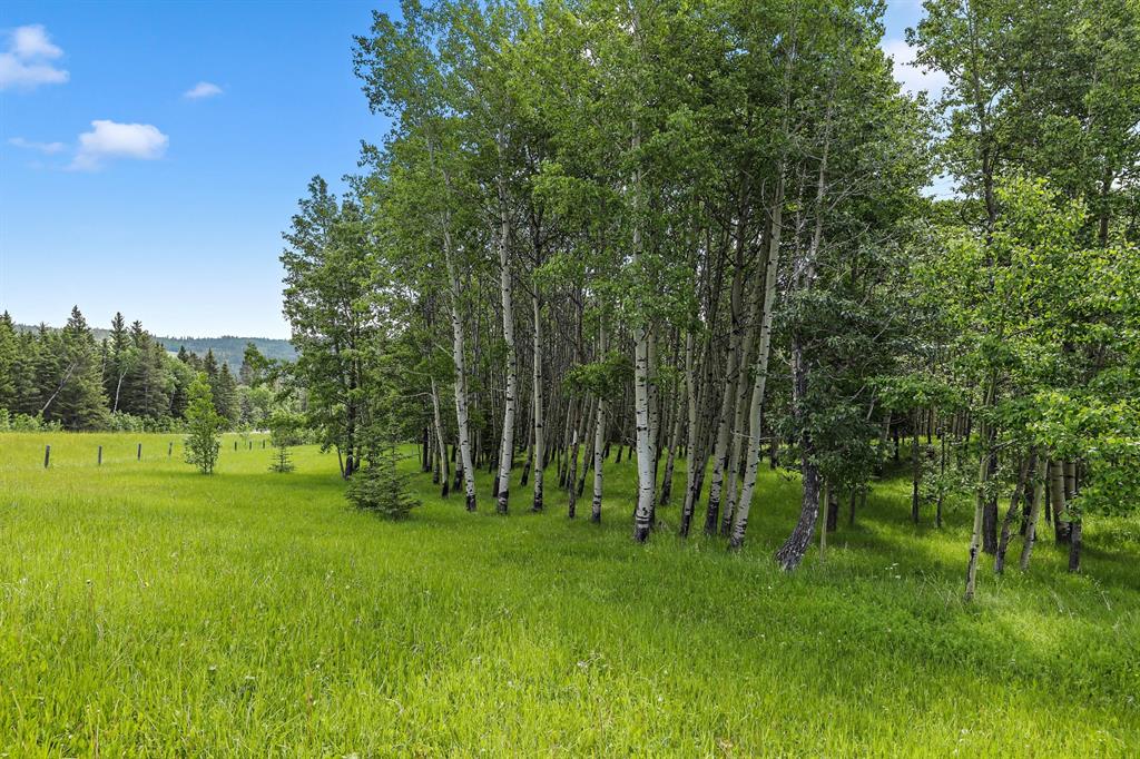 Listing A1257087 - Large Photo # 3