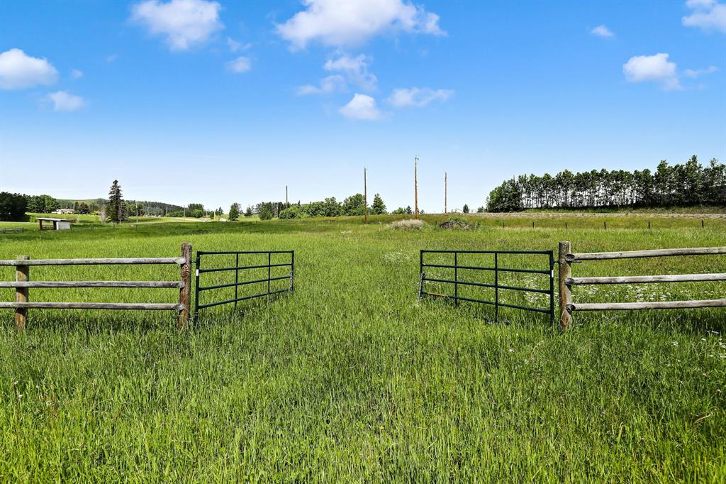 Listing A1257087 - Large Photo # 5