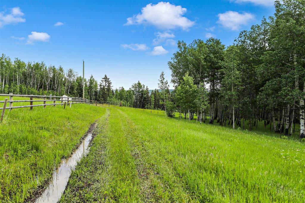Listing A1257087 - Large Photo # 11