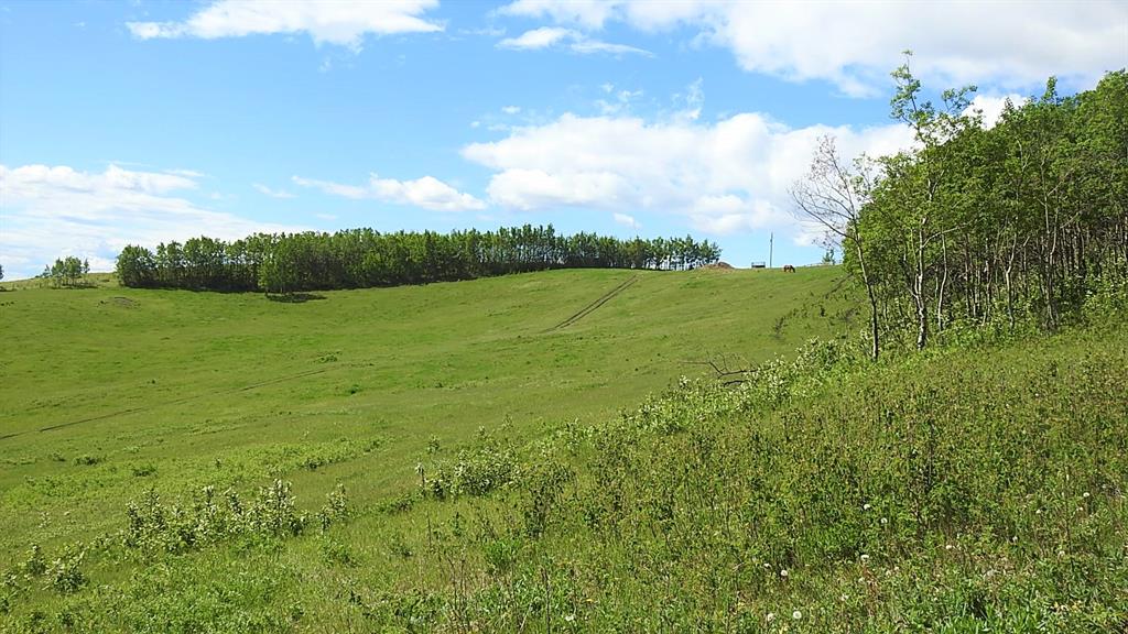 Listing A2000112 - Large Photo # 46