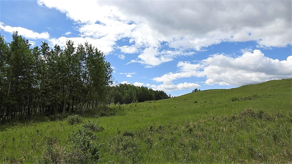 Listing A2000112 - Large Photo # 48