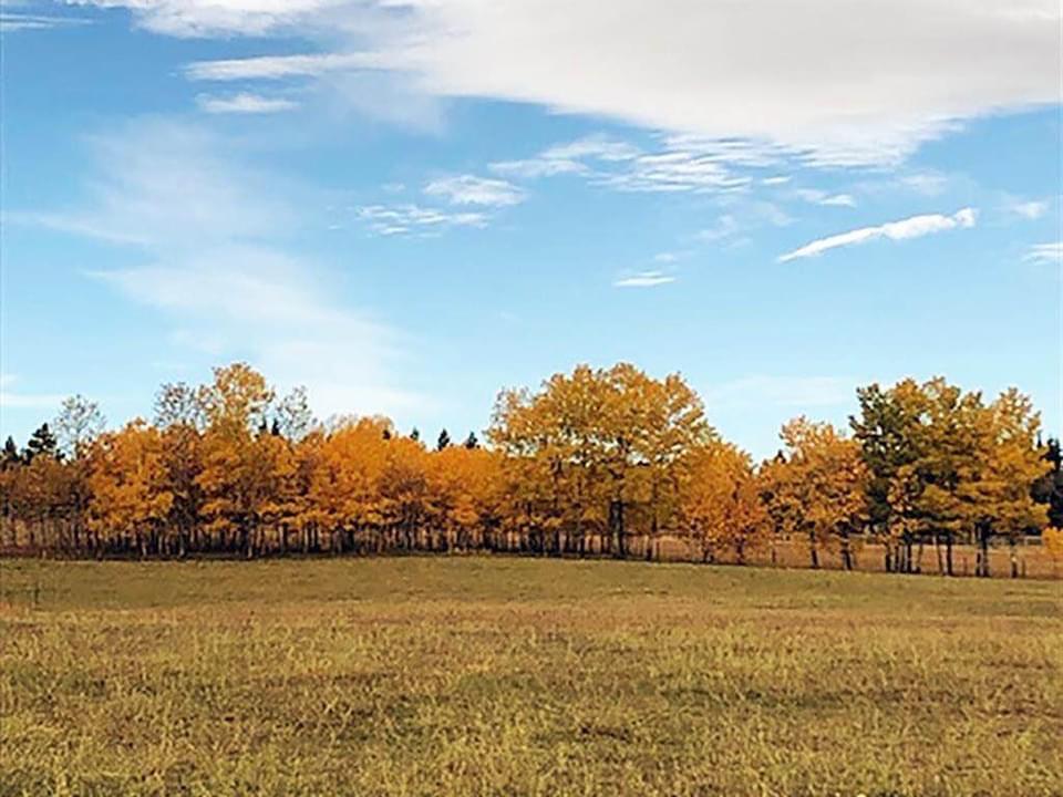 Listing A2019935 - Large Photo # 5