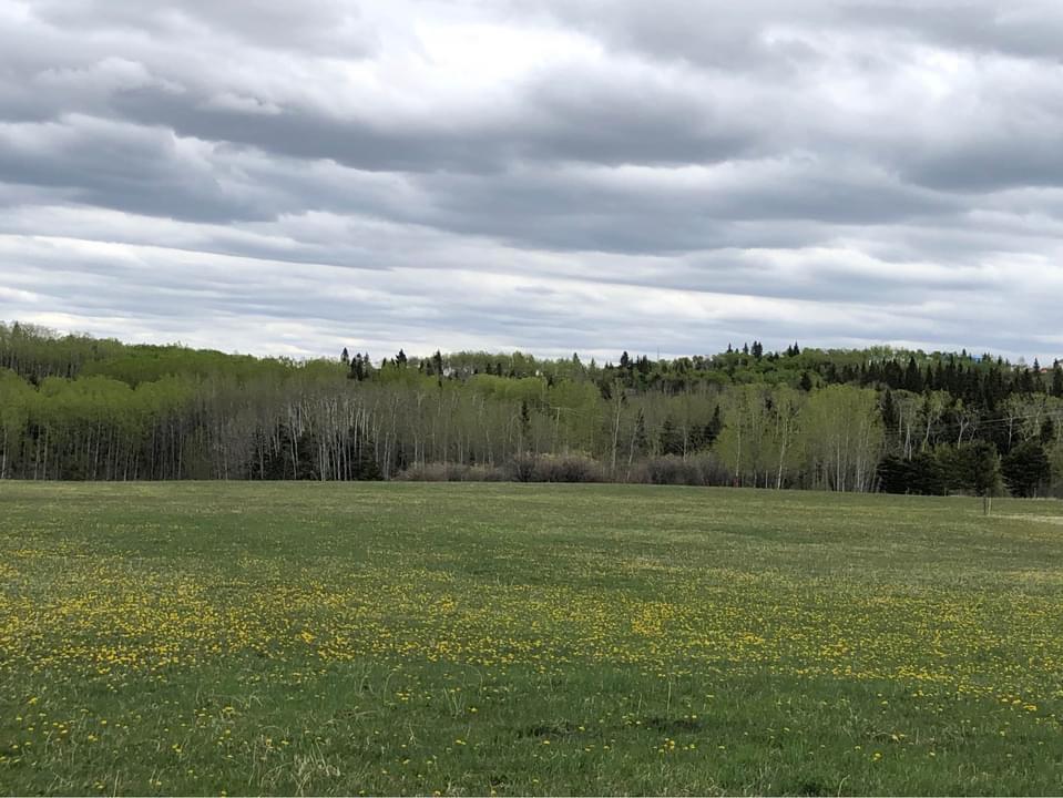 Listing A2019935 - Large Photo # 2