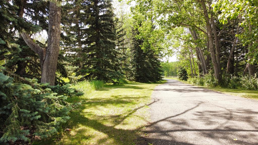 Listing A2022246 - Large Photo # 3
