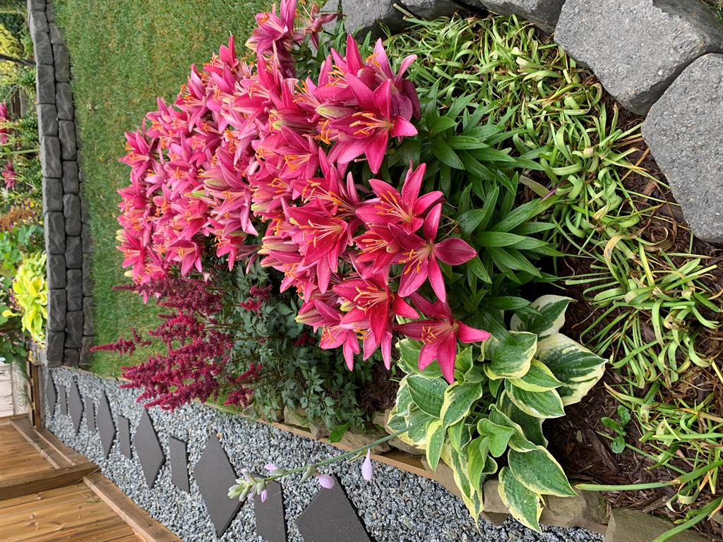 Listing A2028613 - Large Photo # 46