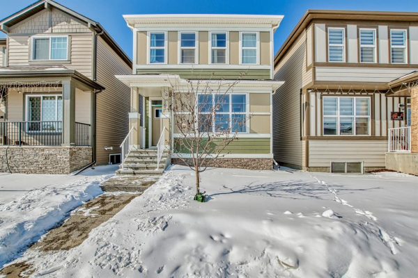 163 Cornerbrook Gate NE, Calgary