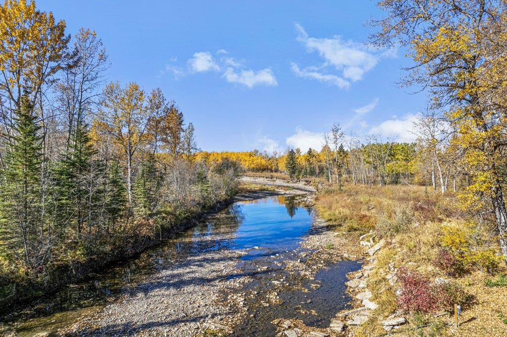 Listing A2037610 - Large Photo # 46