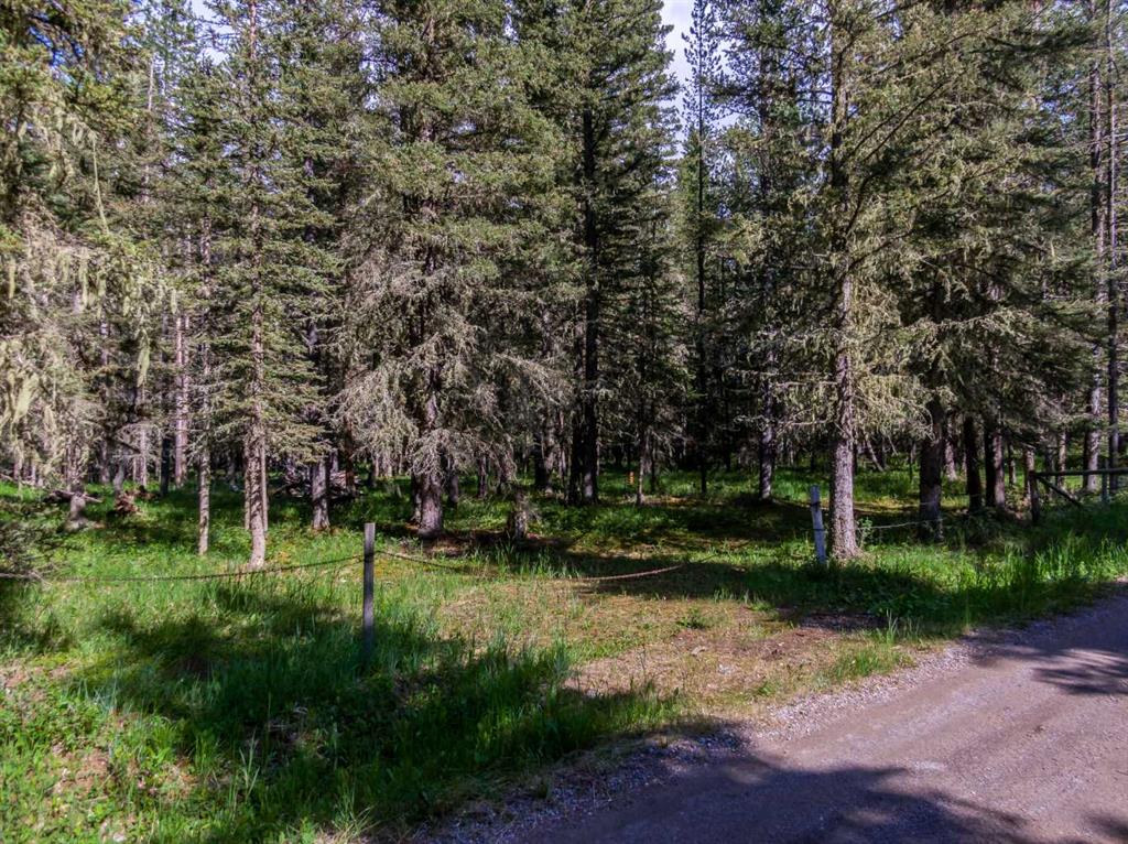 Listing A2059109 - Large Photo # 11