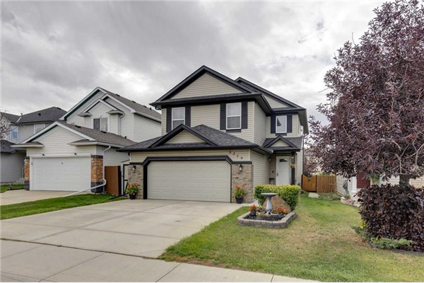 6219 Saddlehorn Drive NE, Calgary
