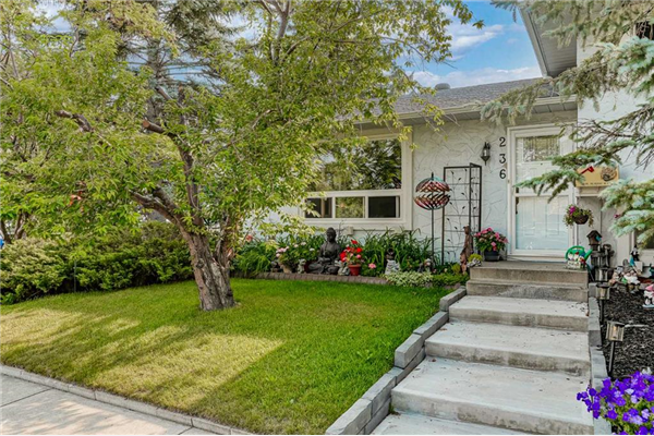 236 Pinecliff Way NE, Calgary